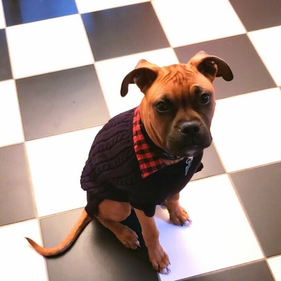 Meet your Posher, Heather - Picture 1 of 1